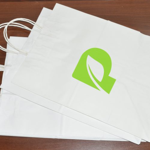 paperplast paper bag packaging bags kenya Whitelogo